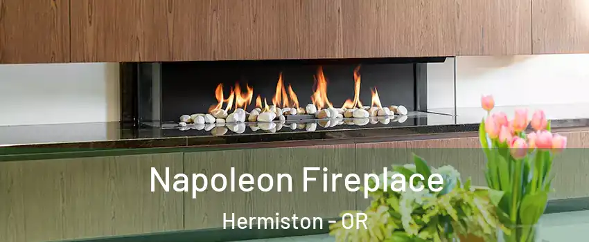  Napoleon Fireplace Hermiston - OR